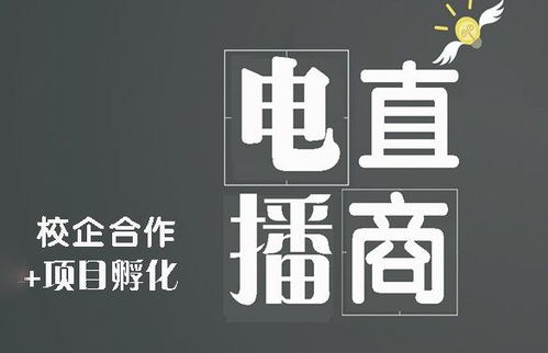 湖北电商直播学院 引领电商直播服务规范